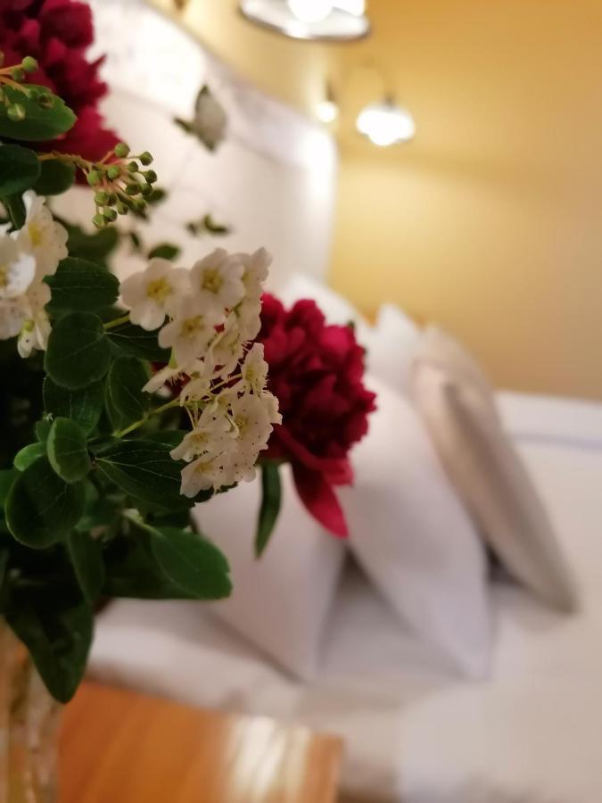 Forrás Fogadó Bükkszék Esterno foto